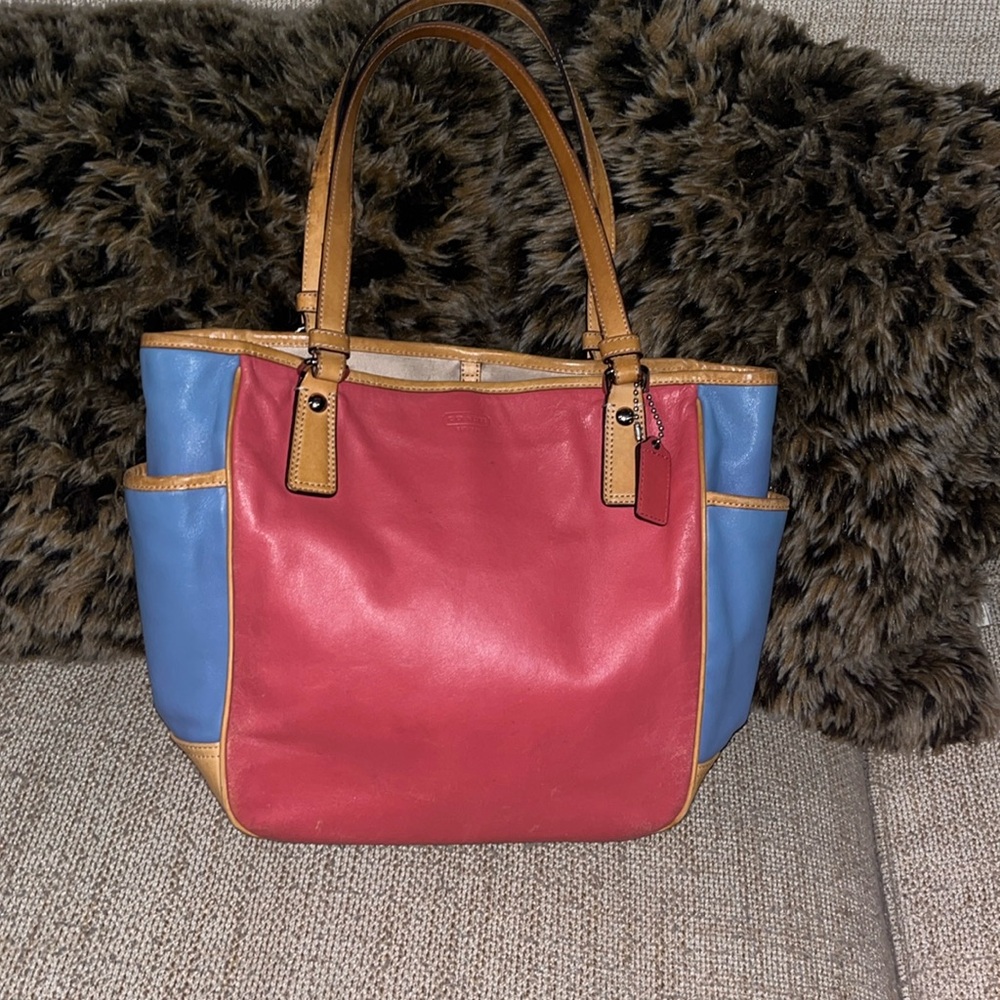 Coach Leather Pocketbook with 2 Side Pockets